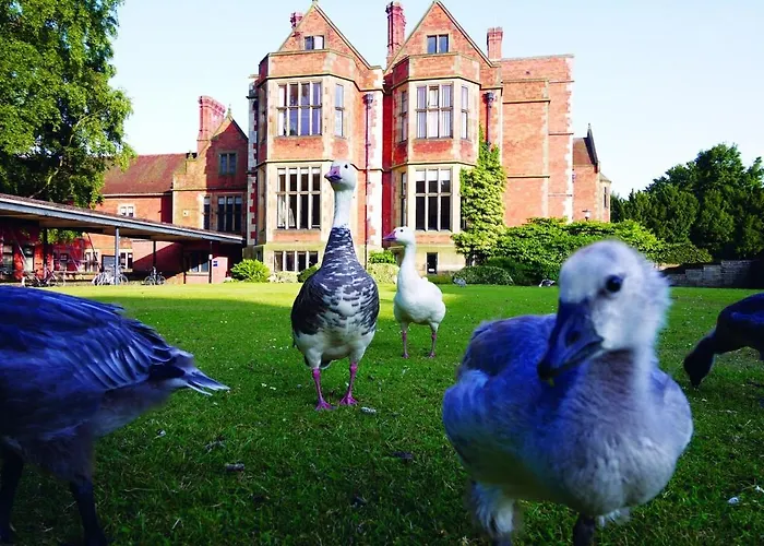 Modern Flat - Free Parking ヨーク